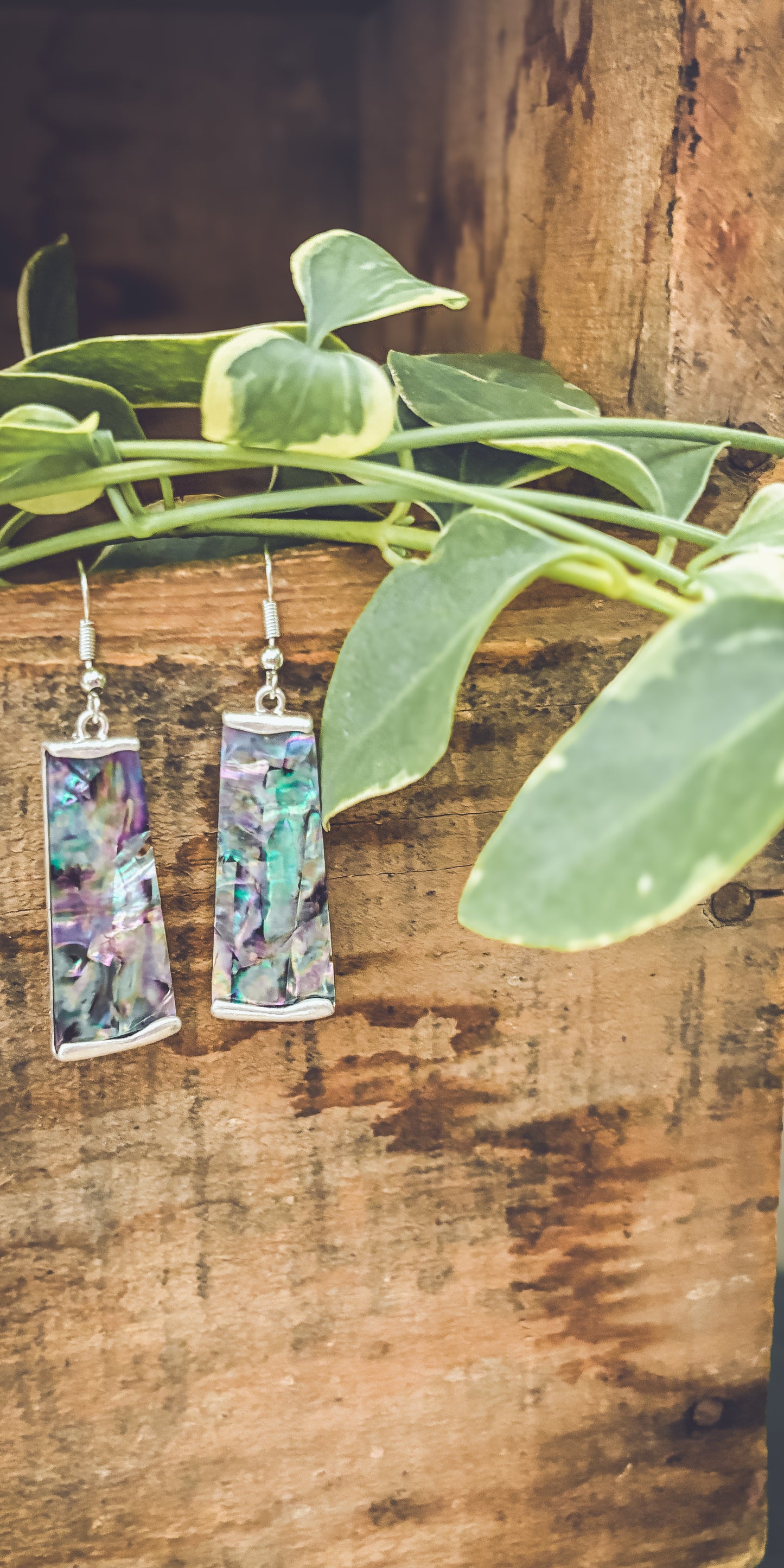 Beautiful Silver and Shell Earrings