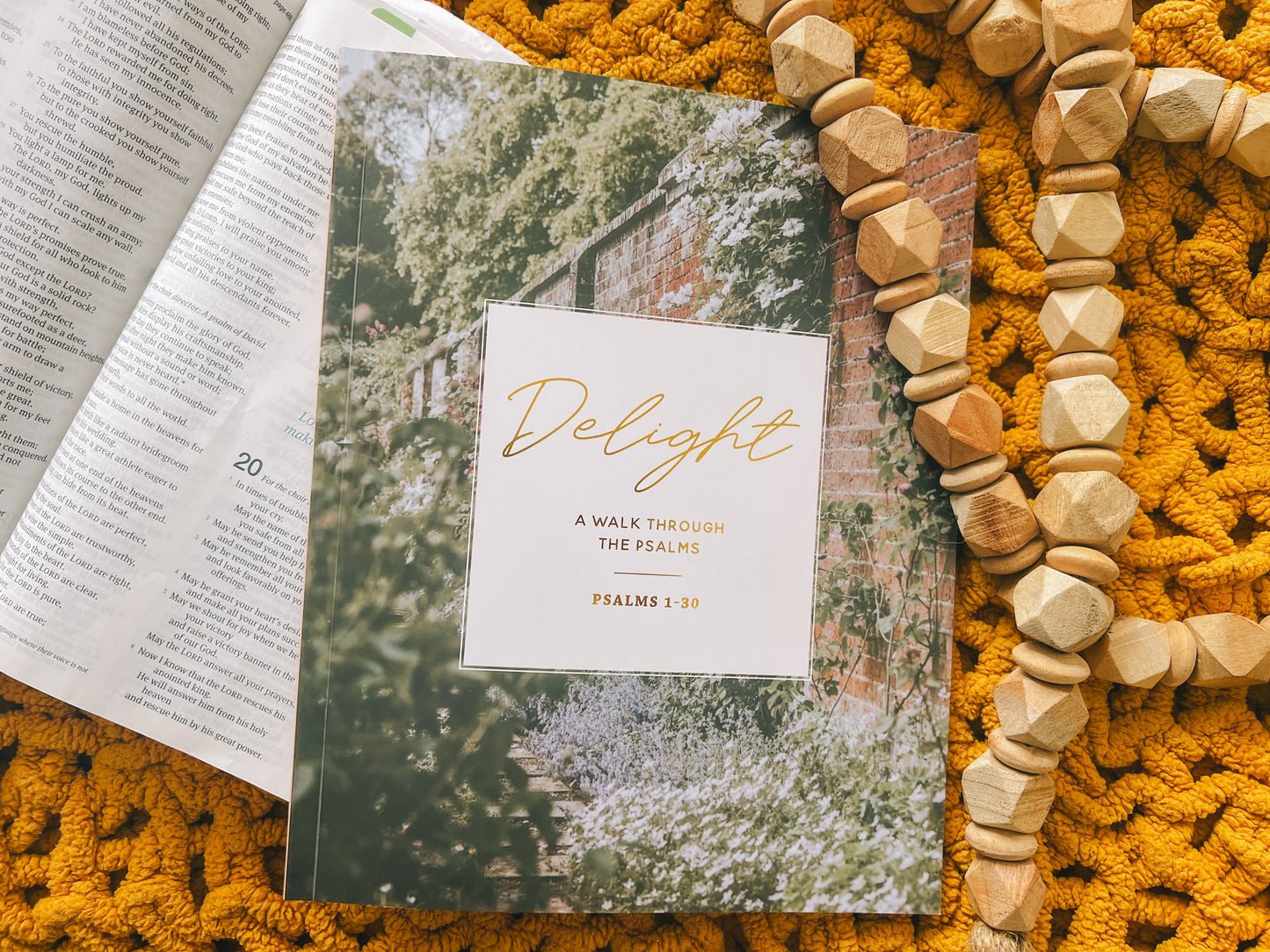 Delight | Psalms 1-30