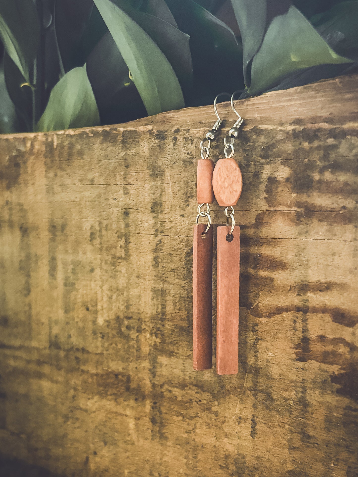 Beautiful Brown Wood Earrings