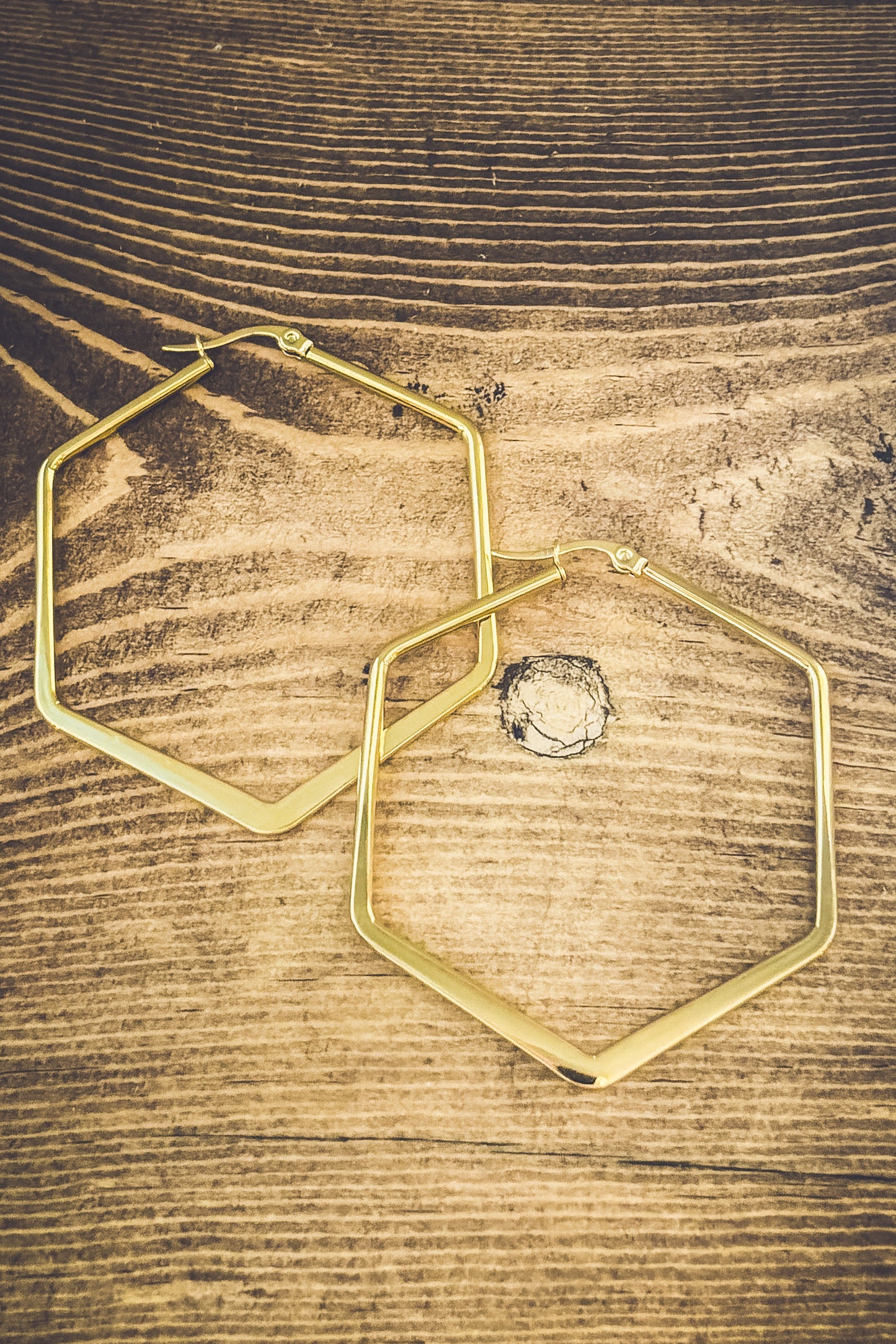 Beautiful Geometric Gold or Silver Hoop Earrings