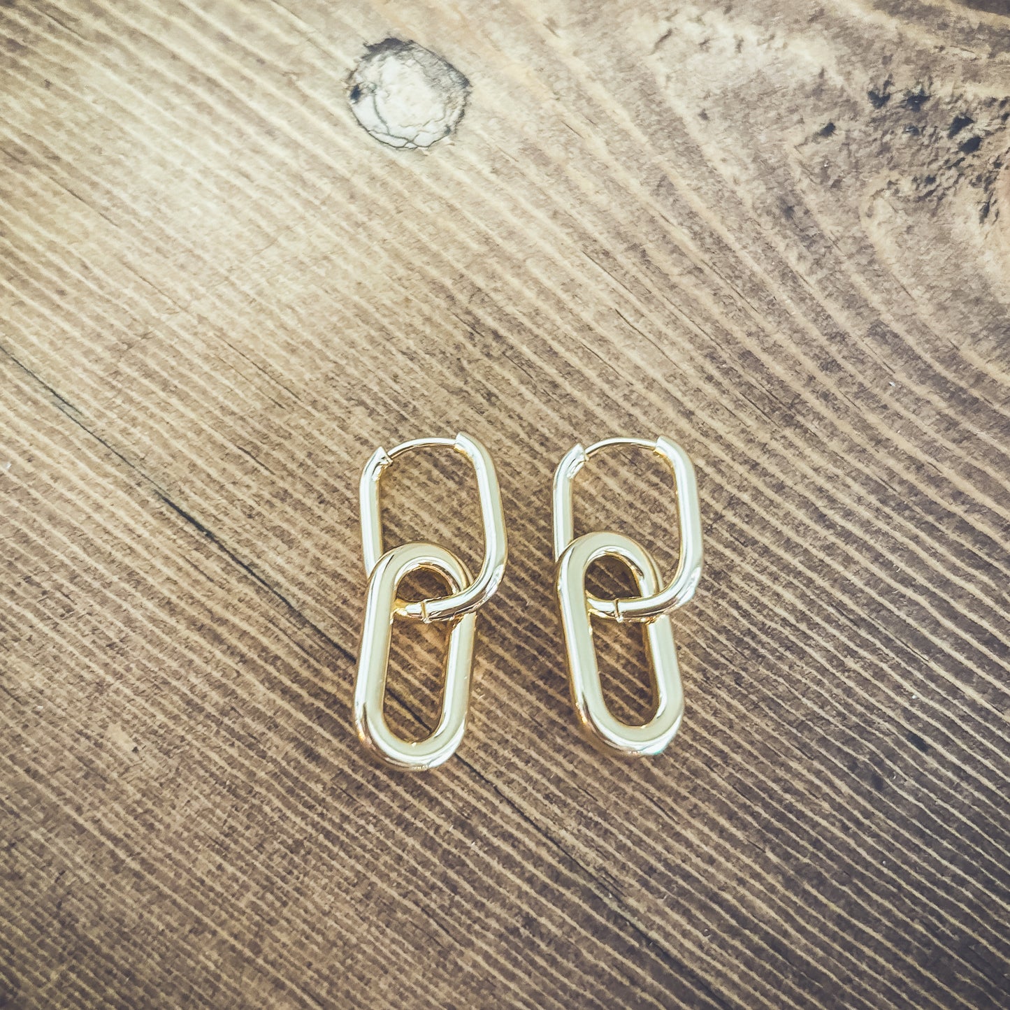 Beautiful Gold Link Earrings