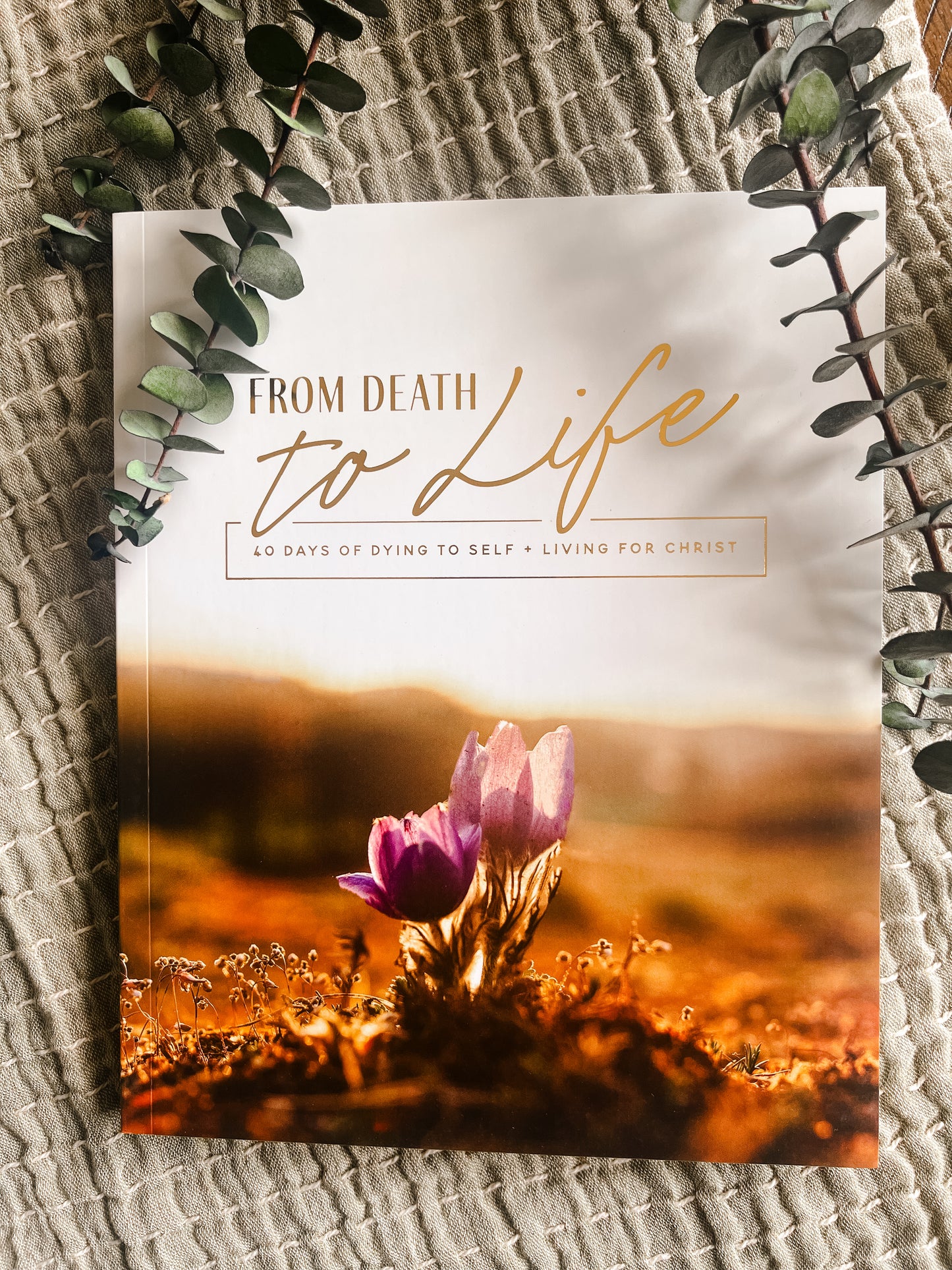 From Death To Life | 40 Days of Dying To Self and Living For Christ