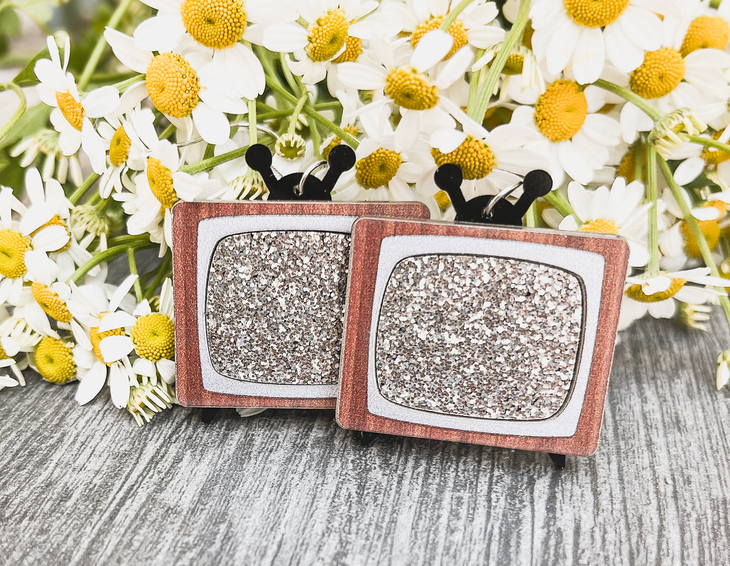 Adorable Classic TV Earrings