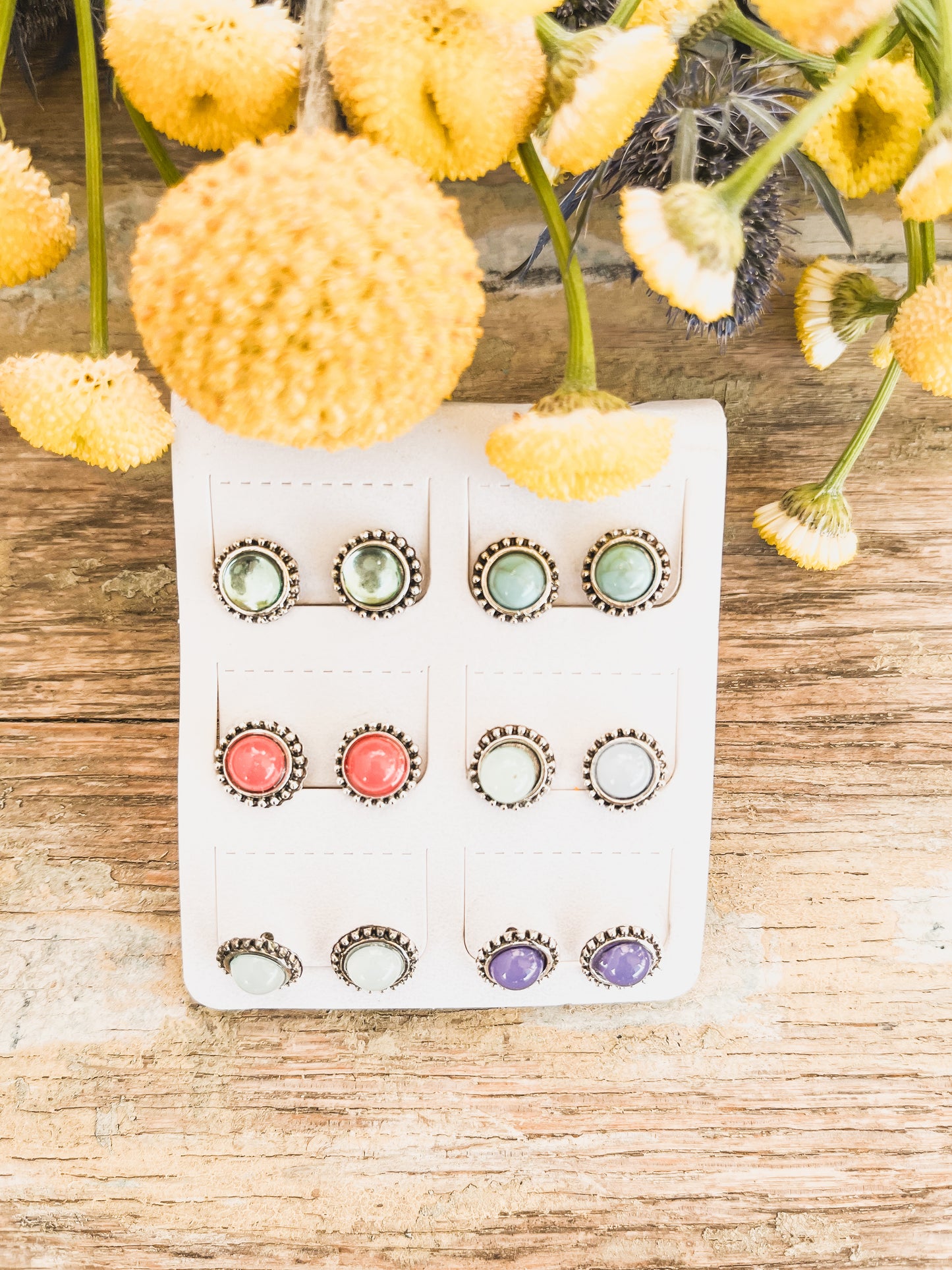 Beautiful Colorful Stud Set - Set of 6