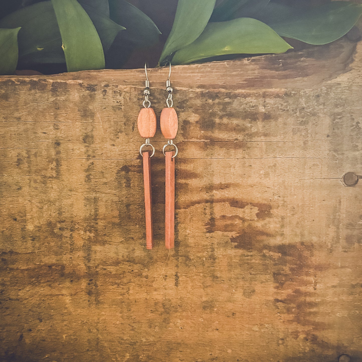 Beautiful Brown Wood Earrings