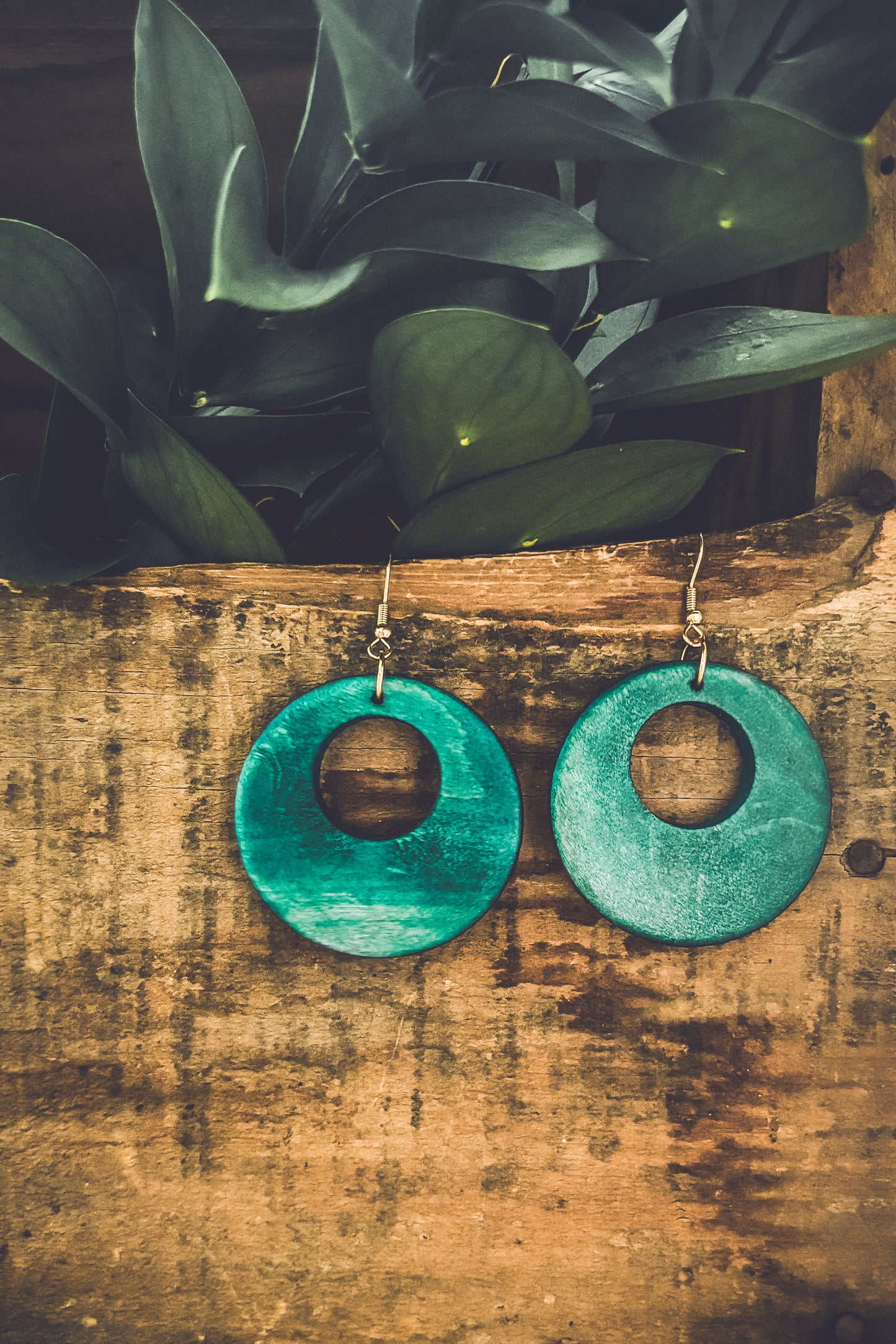 Beautiful Turquoise Wood Circle Earrings