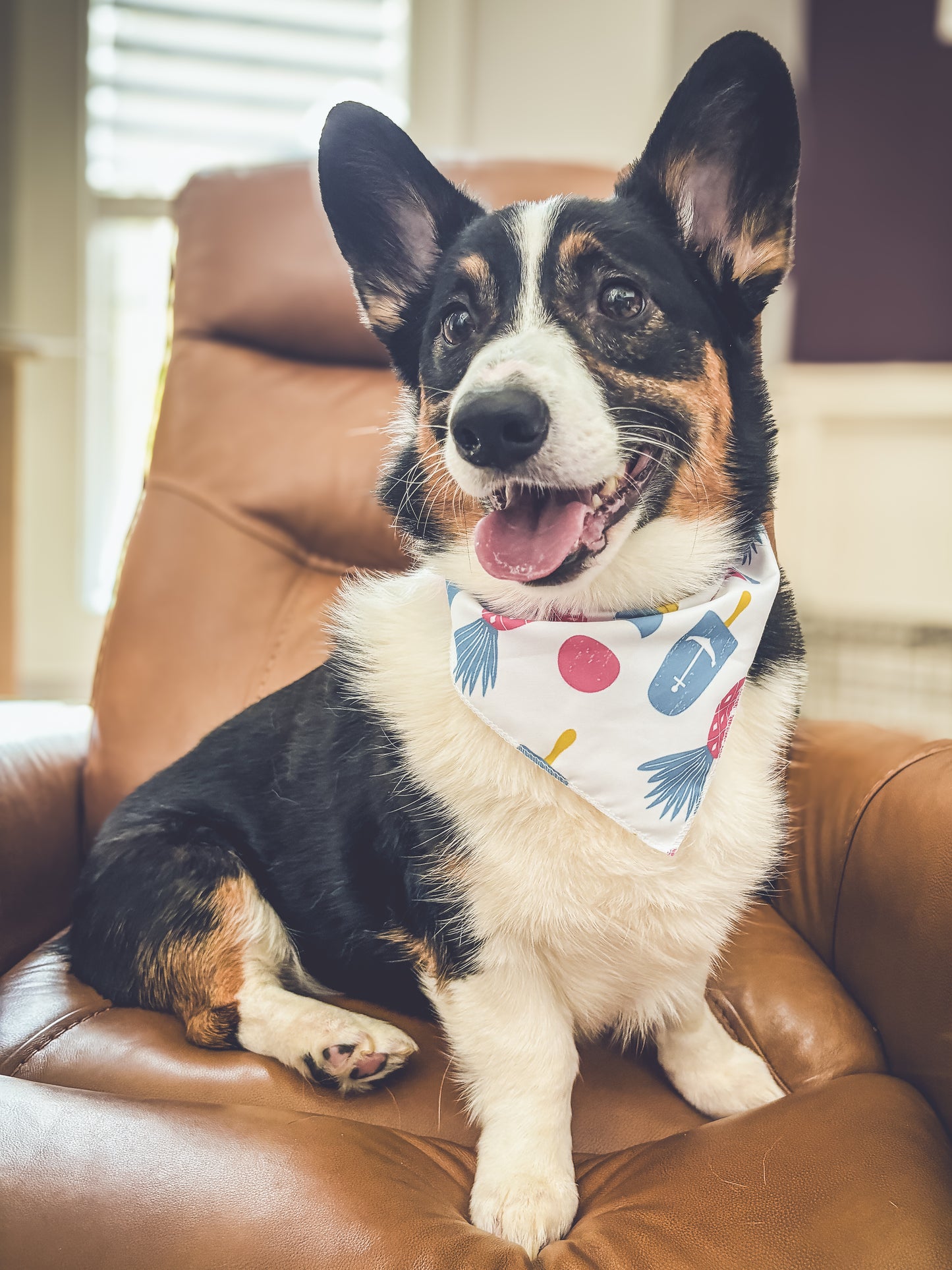 Doggie Bandanna