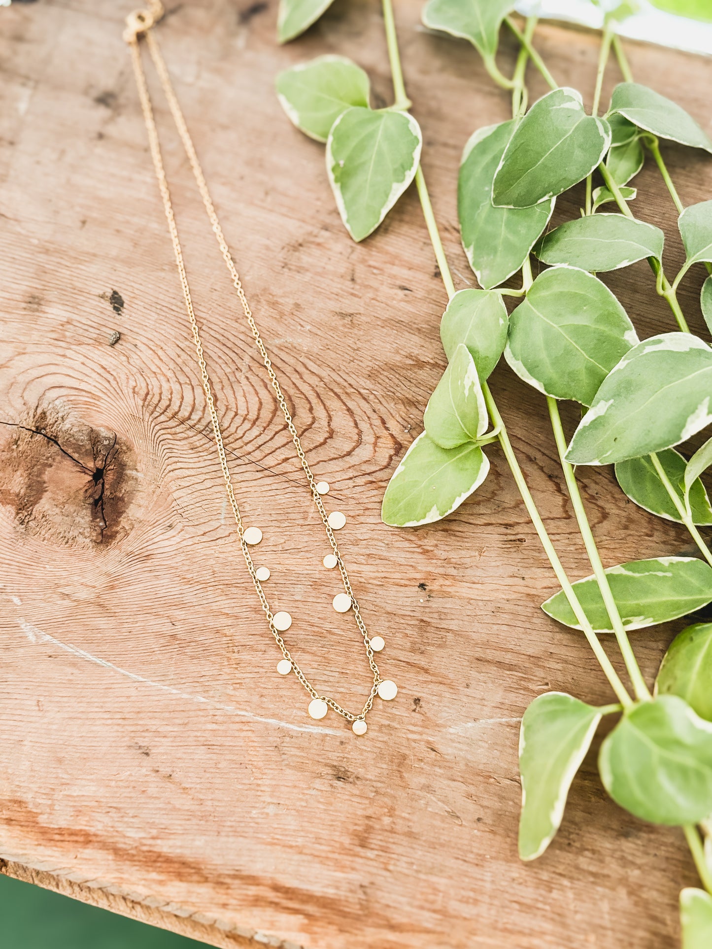 Beautiful Dainty and Feminine Gold Round Disc Choker Necklace