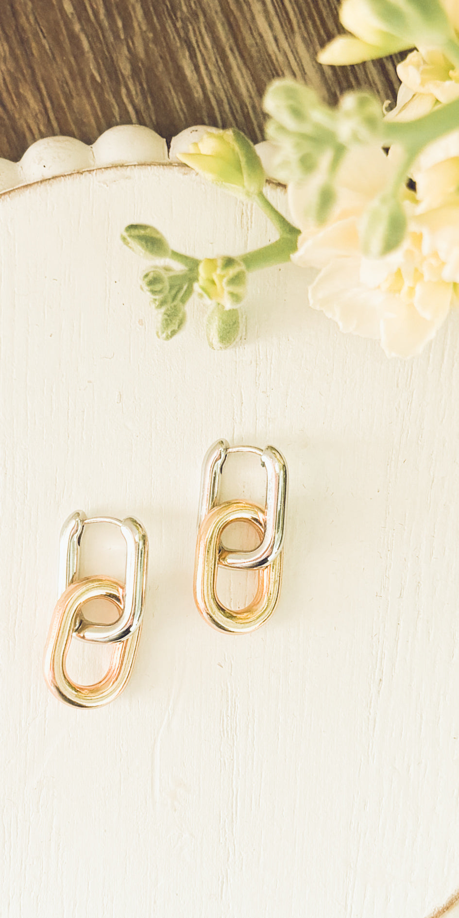 Beautiful Gold and Silver Link Earrings