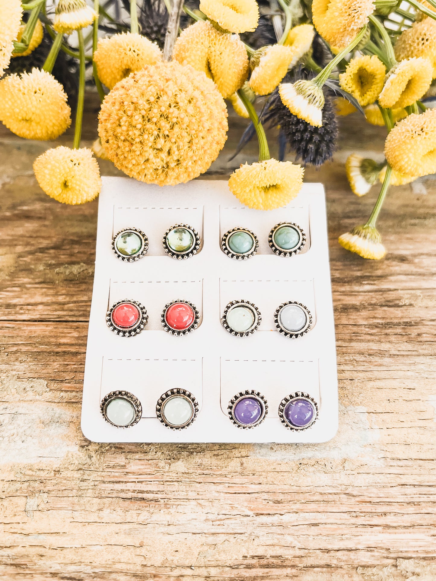 Beautiful Colorful Stud Set - Set of 6