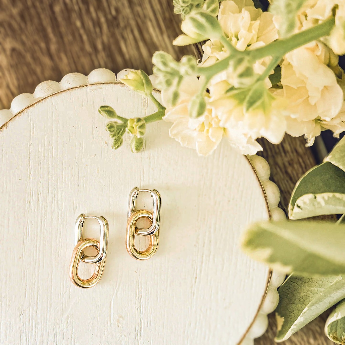 Beautiful Gold and Silver Link Earrings