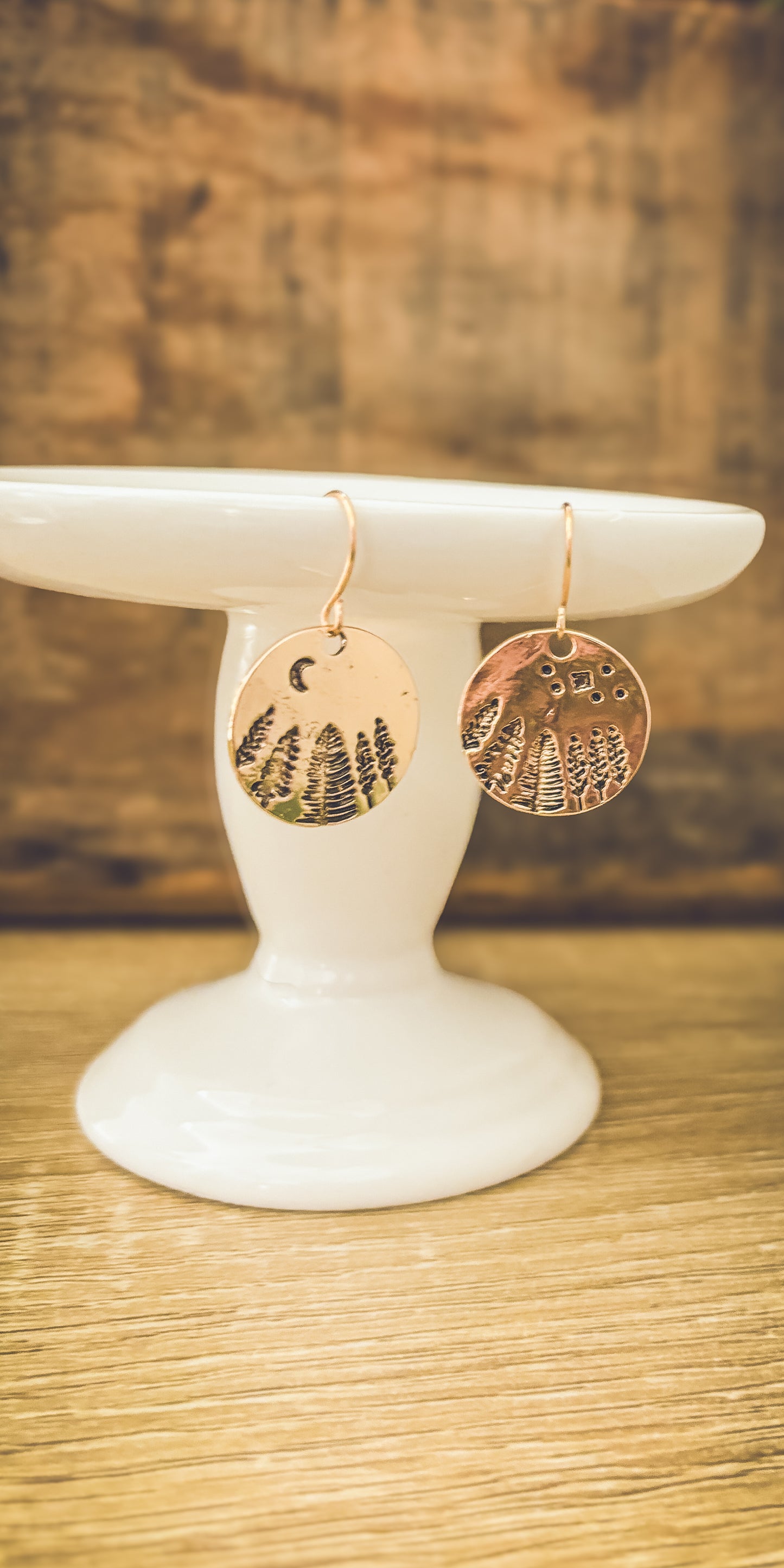 Goregeous Gold or Silver Starlight Mountain Earrings