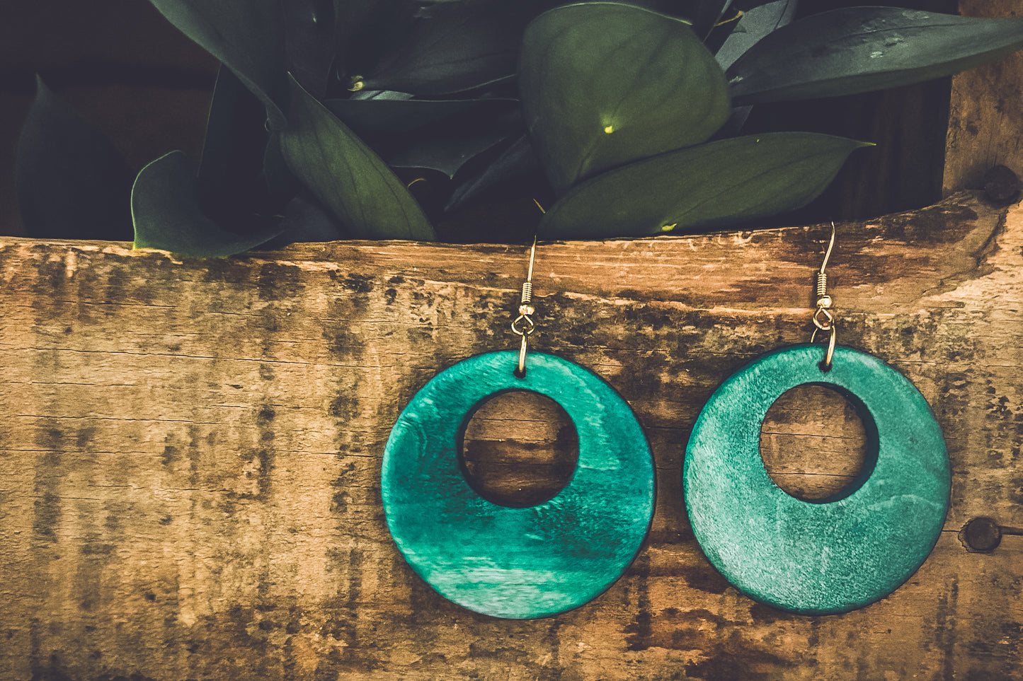 Beautiful Turquoise Wood Circle Earrings