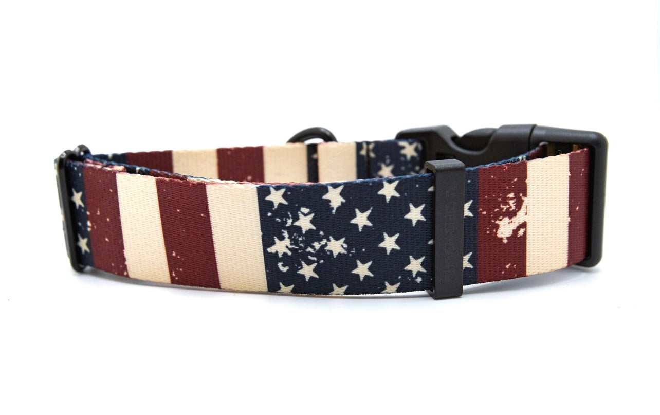 Patriot Dog Collar