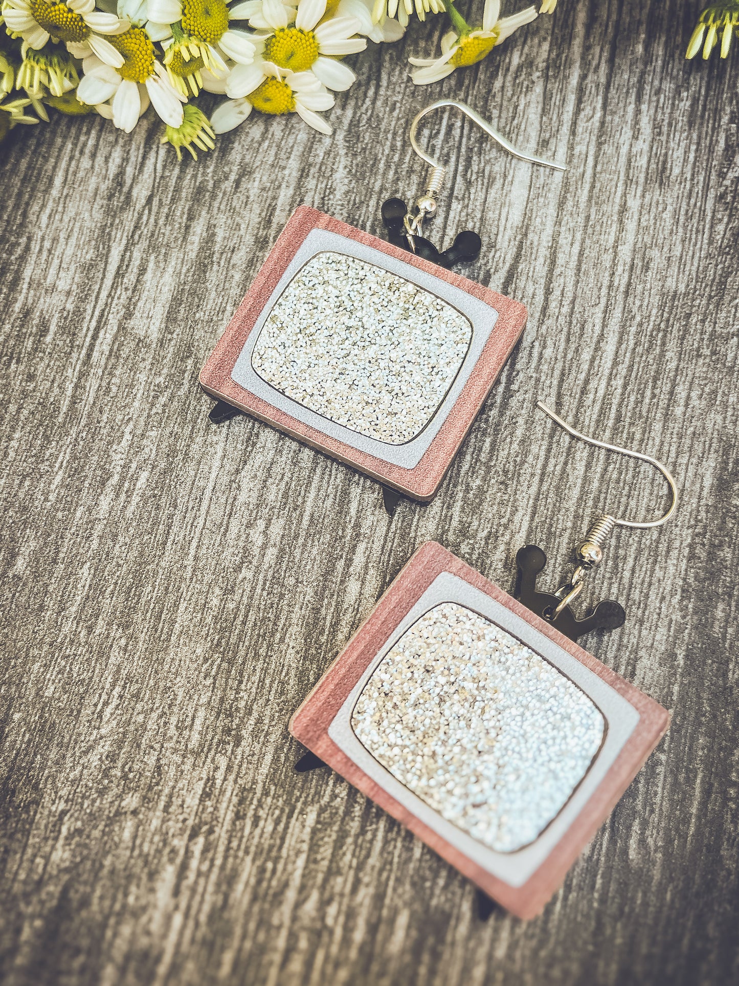 Adorable Classic TV Earrings