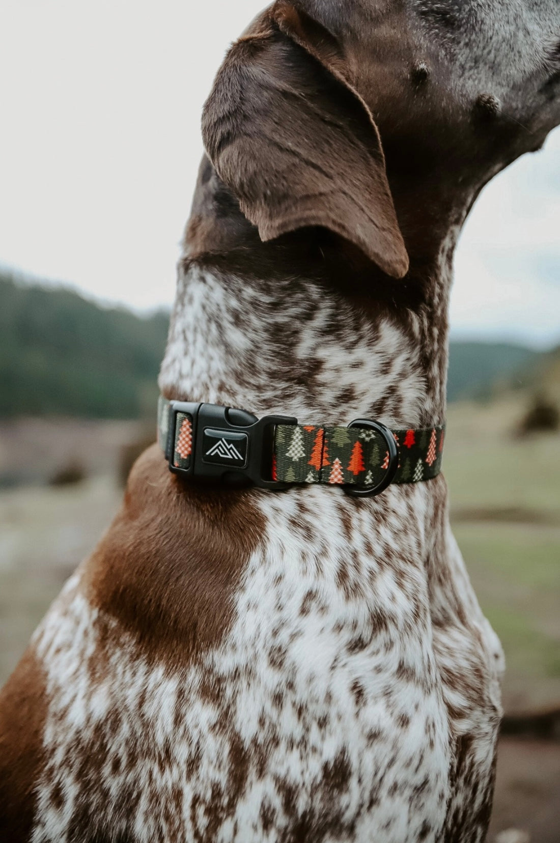 Buffalo Trees Dog Collar