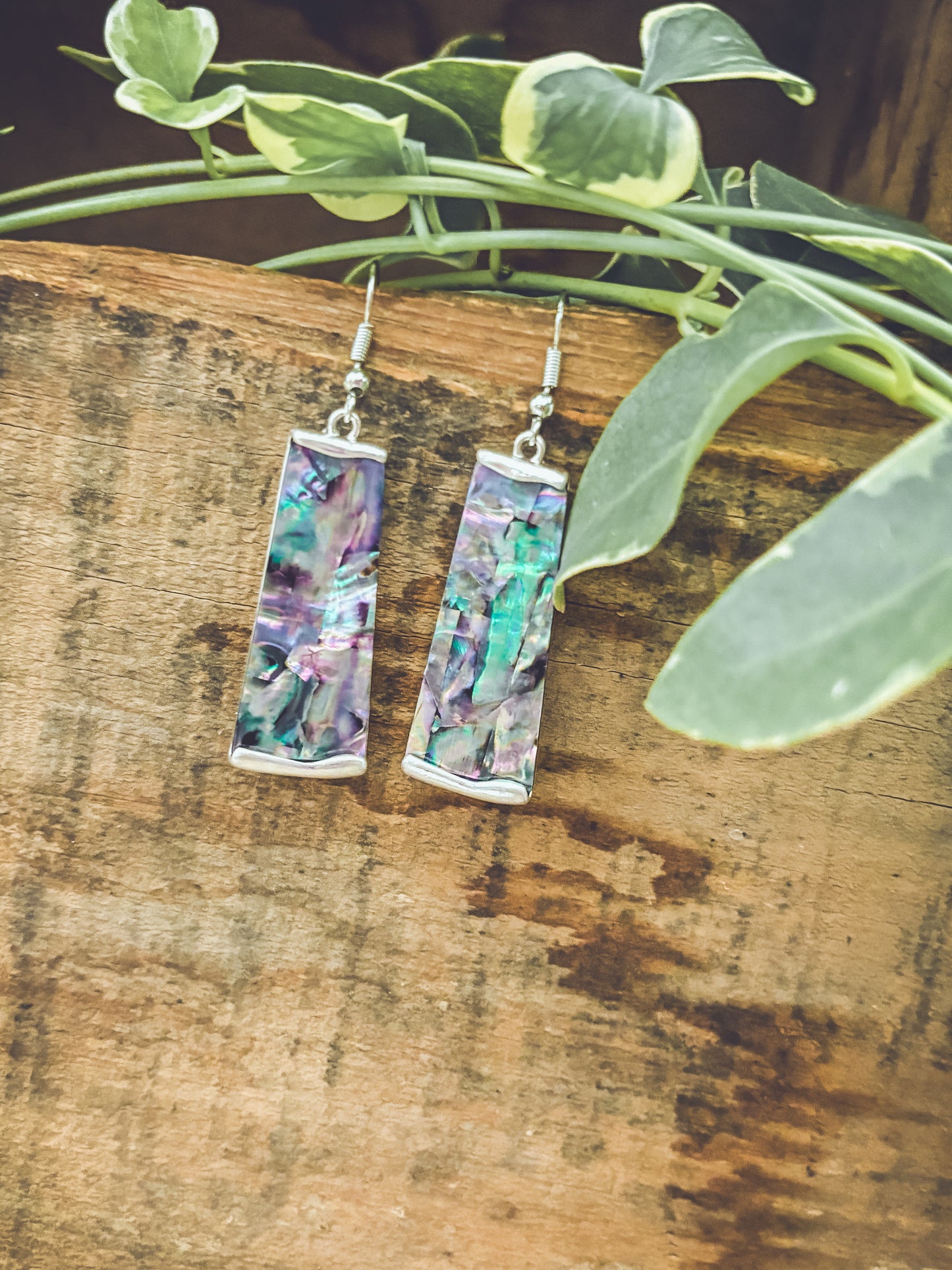 Beautiful Silver and Shell Earrings