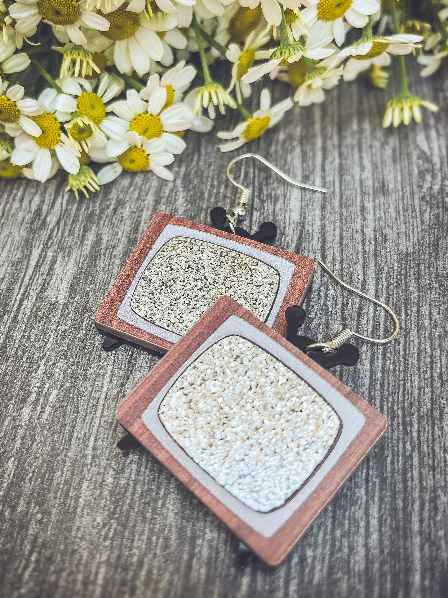 Adorable Classic TV Earrings