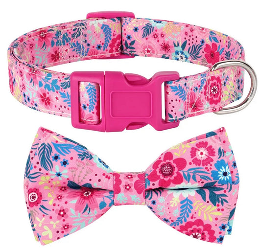 Beautiful Dog Collar