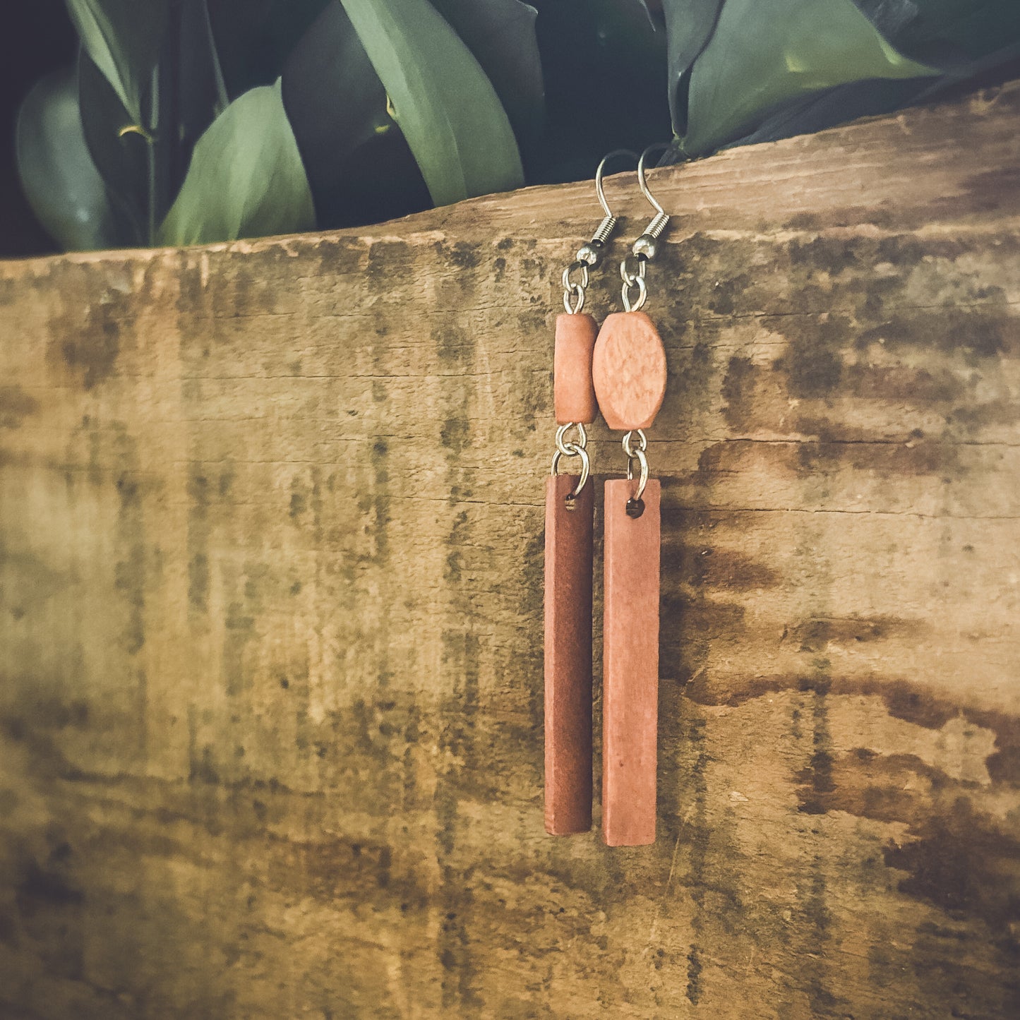 Beautiful Brown Wood Earrings