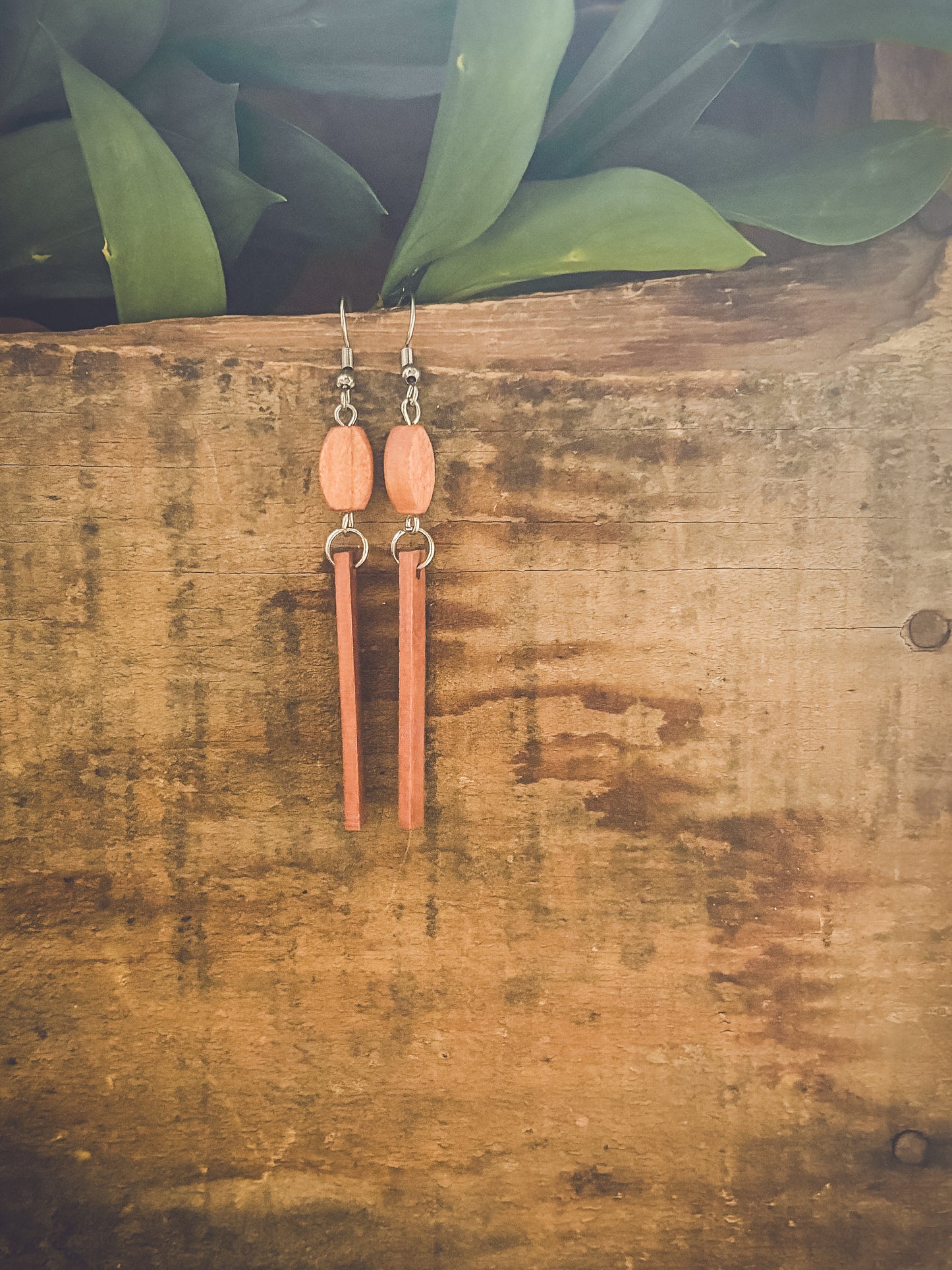 Beautiful Brown Wood Earrings