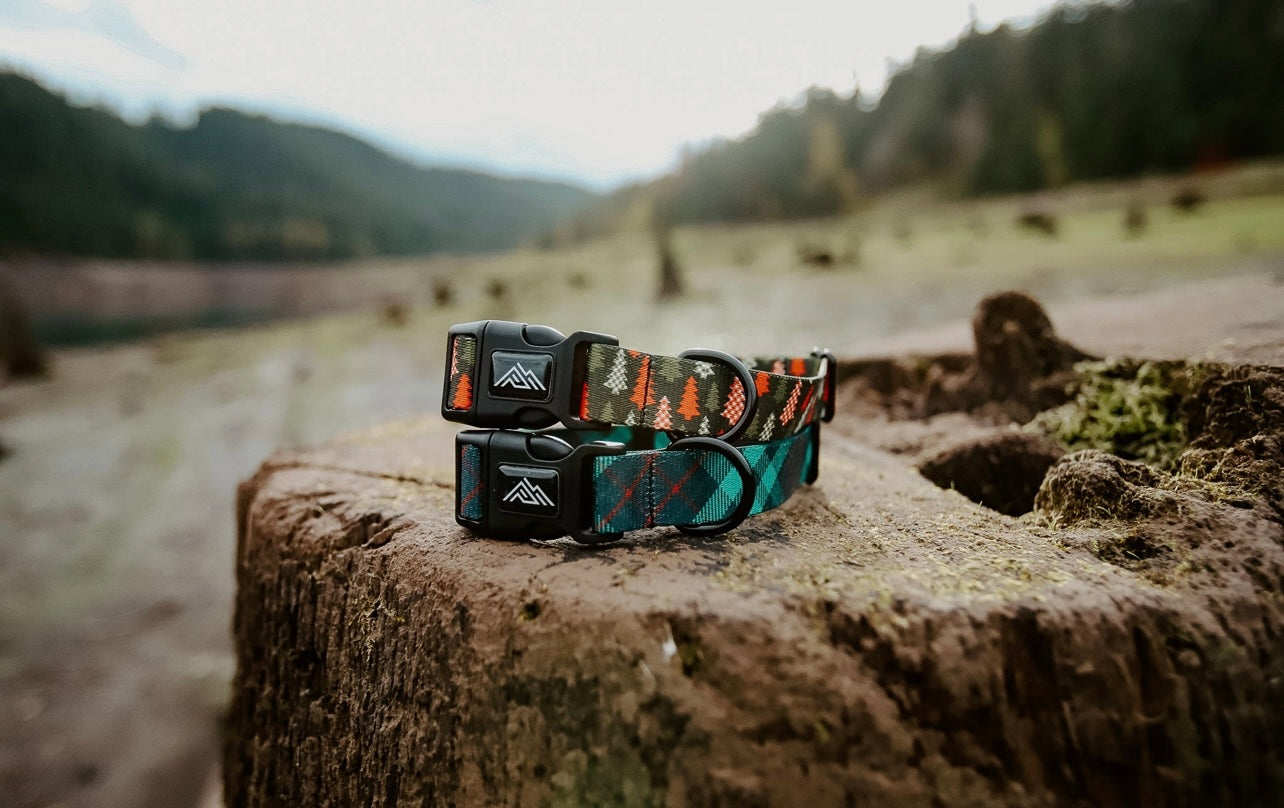 Buffalo Trees Dog Collar