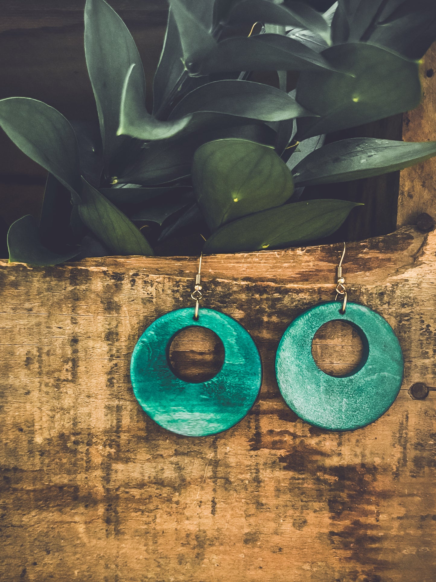 Beautiful Turquoise Wood Circle Earrings