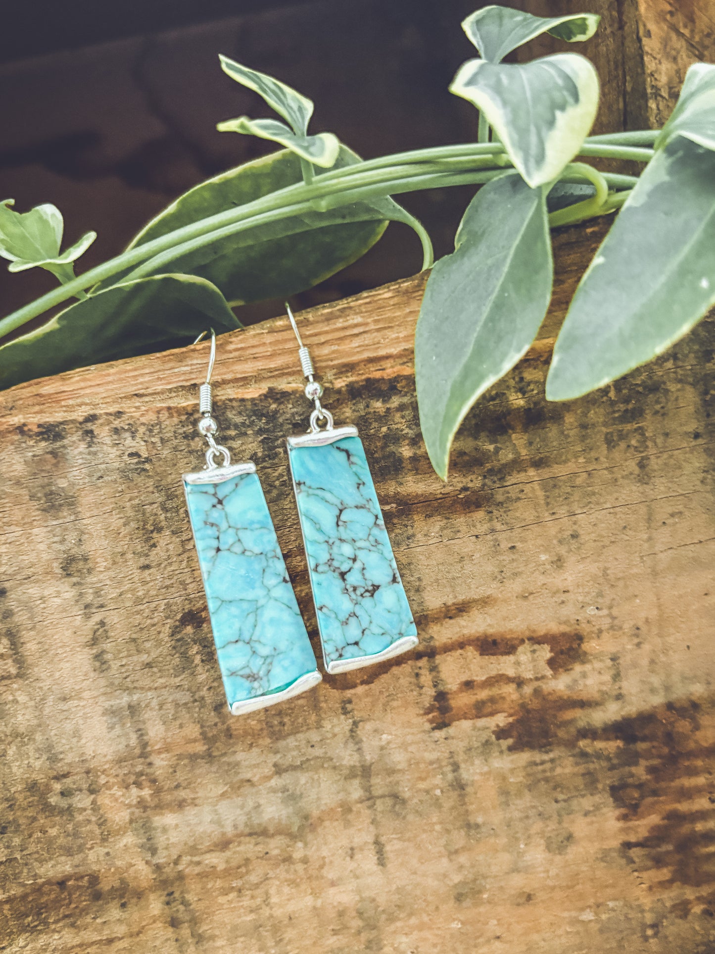 Beautiful Silver and Turquoise Earrings