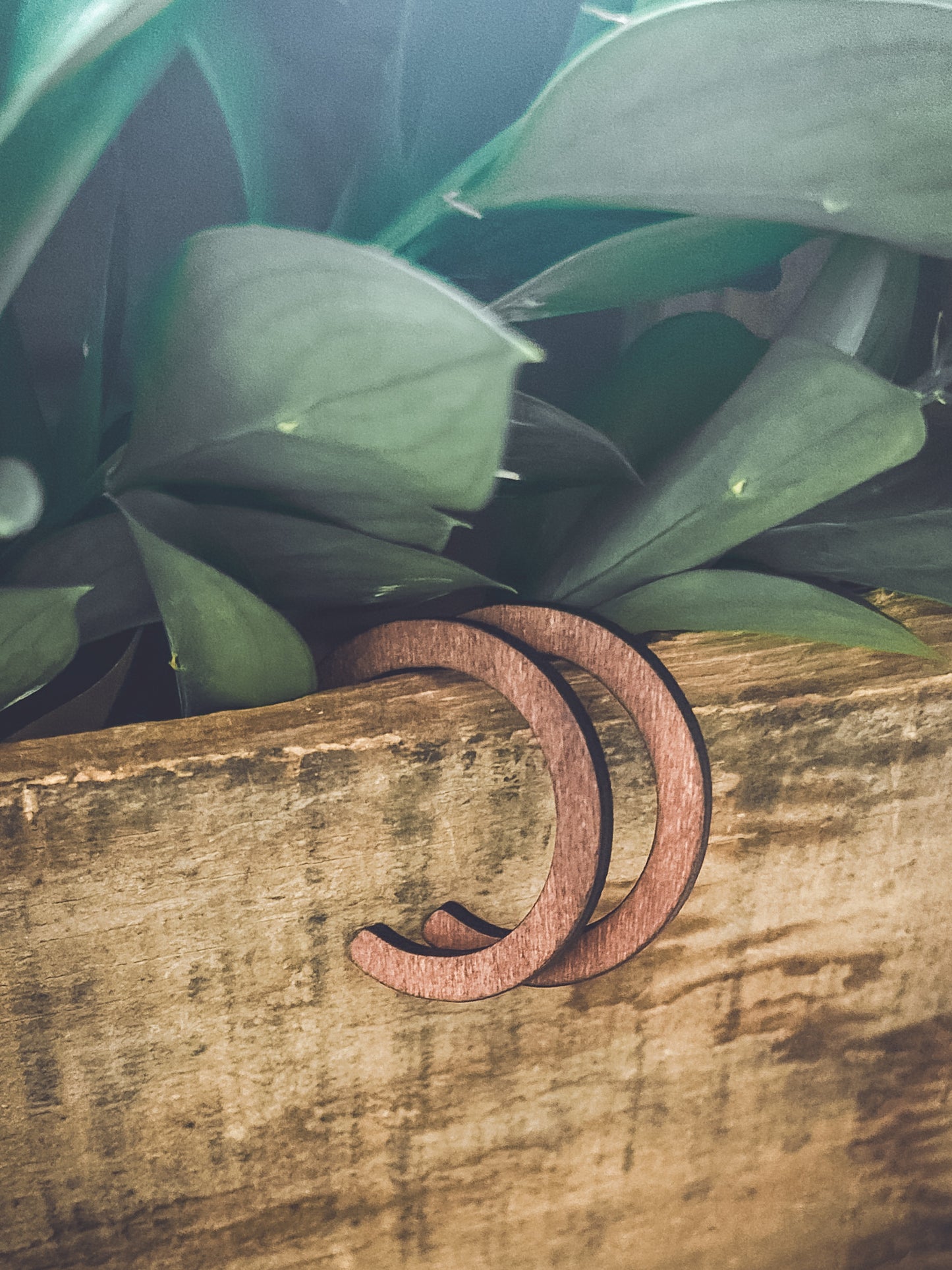 Beautiful Boho Wood Hoop Earrings