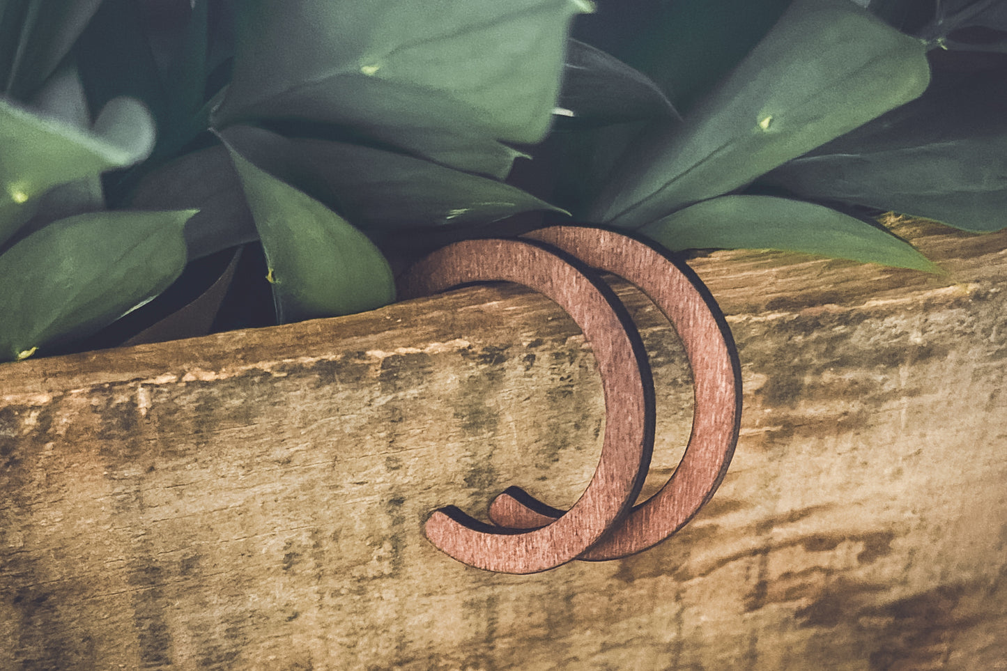 Beautiful Boho Wood Hoop Earrings